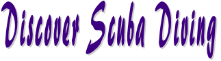 Discover Scuba Diving