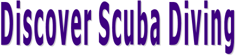 Discover Scuba Diving